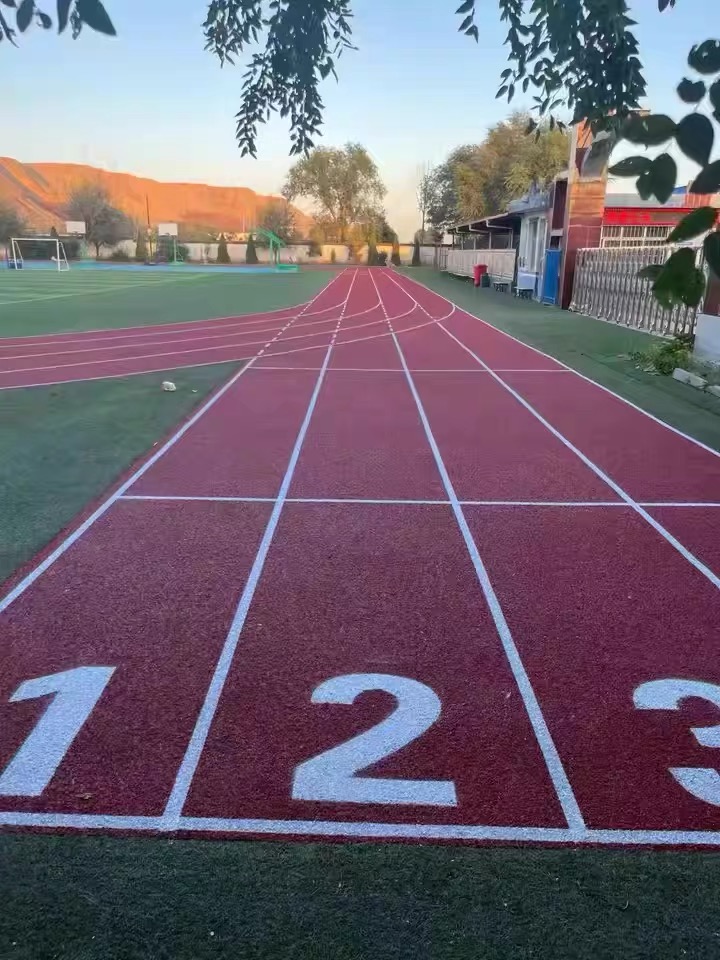 昂进体育案例图片
